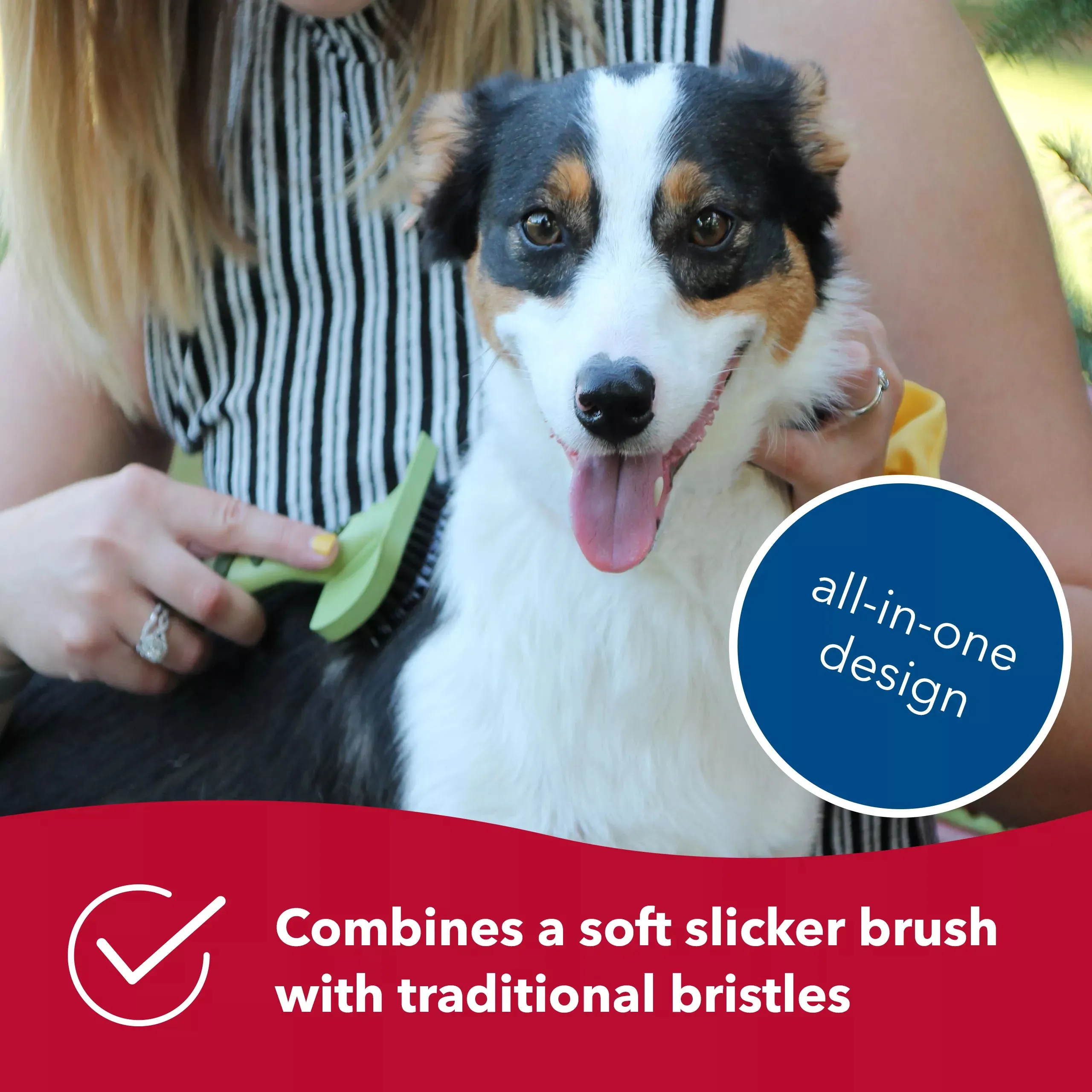 Safari Dog Complete Brush